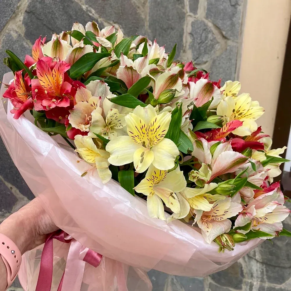 Альстромерии