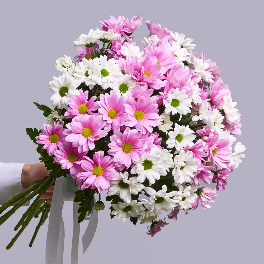 Хризантемы кустовые