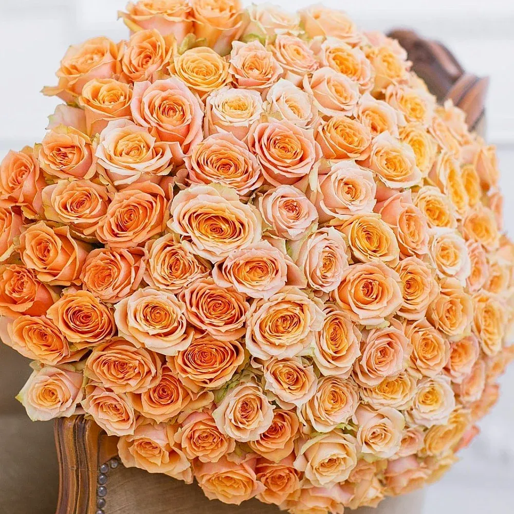 Чайные розы