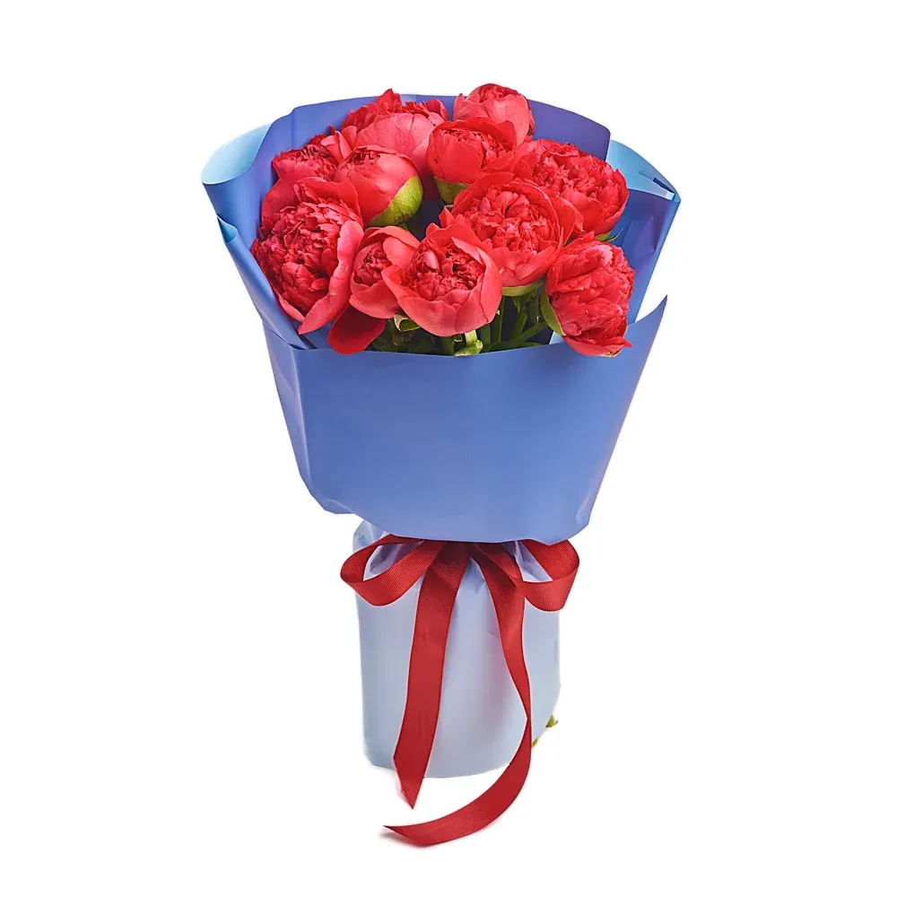 Букет из 11 малиновых пионов