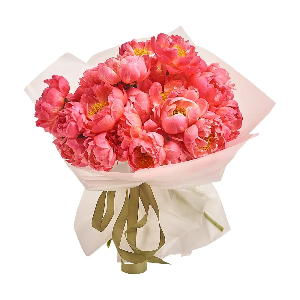 Букет из 25 коралловых пионов