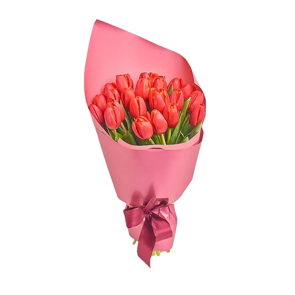 Букет из 25 красных тюльпанов