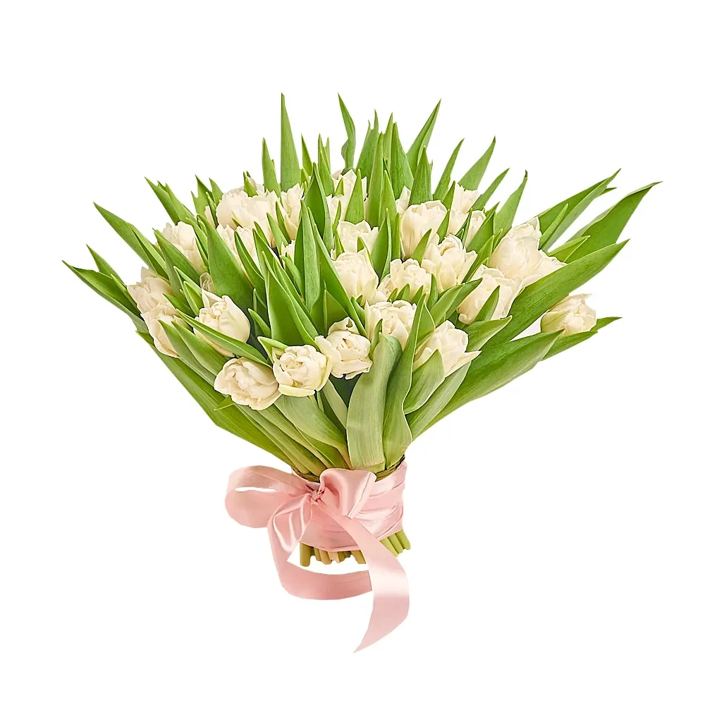 Букет из 51 белого пионовидного тюльпана