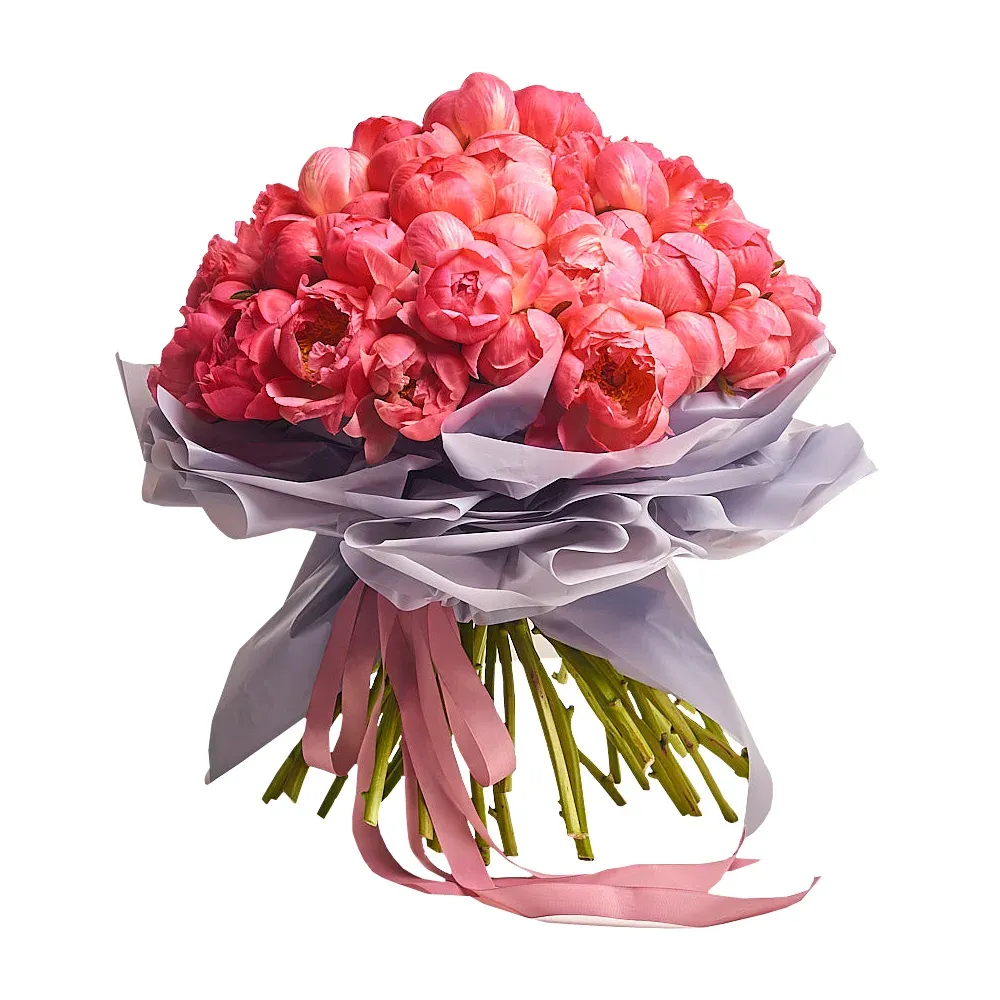 Букет из 51 кораллового пиона