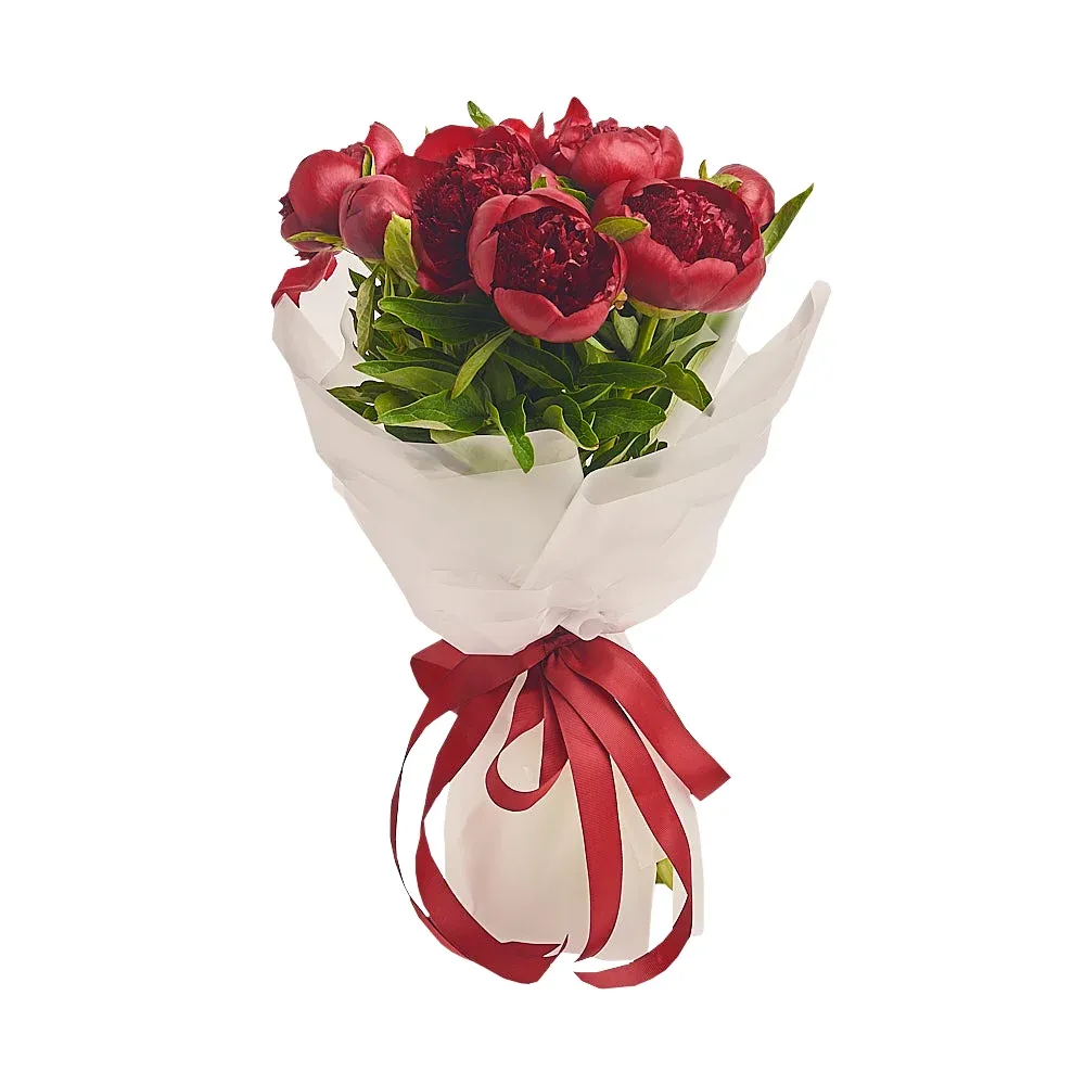 Букет из 7 бордовых пионов