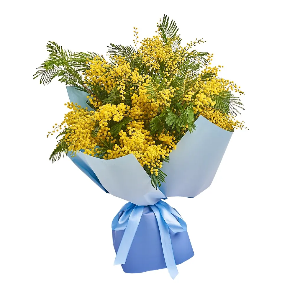 Букет из мимозы