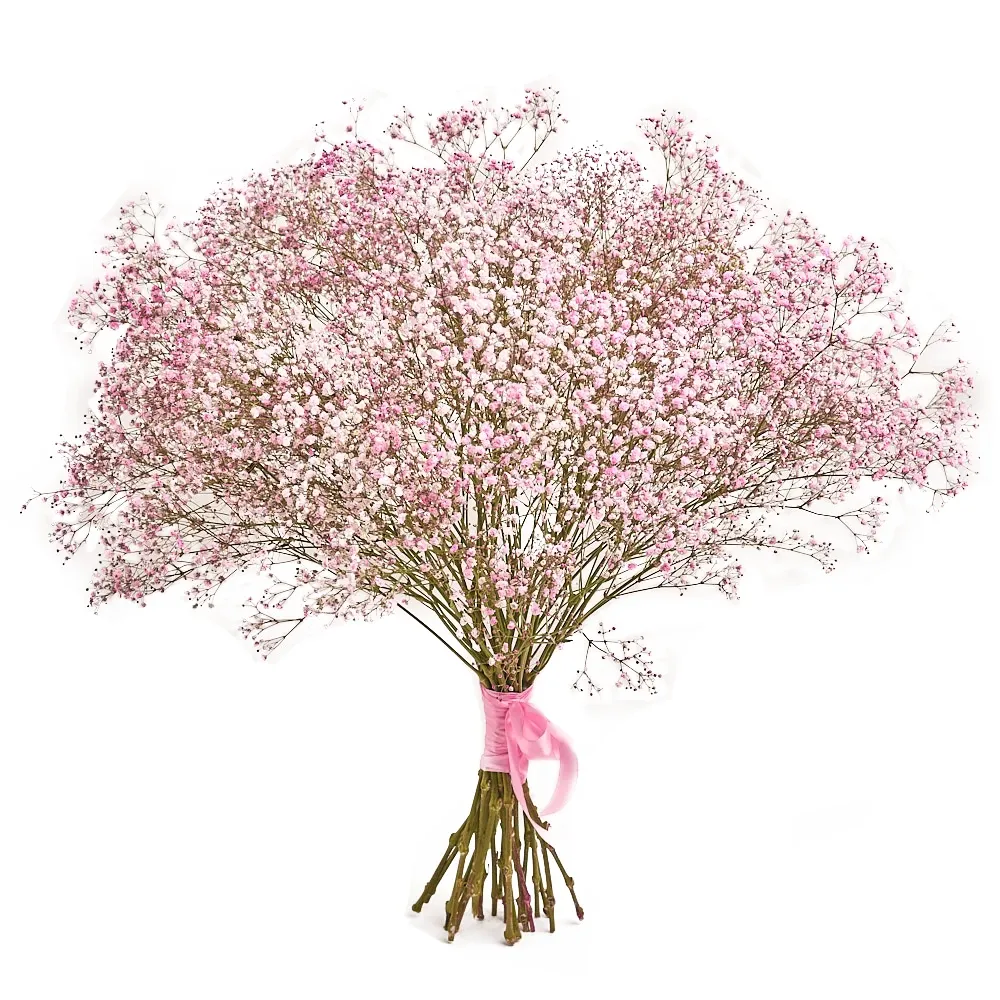 Букет из розовой гипсофилы под ленту