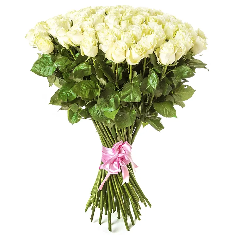 Букет из 101 белой метровой розы