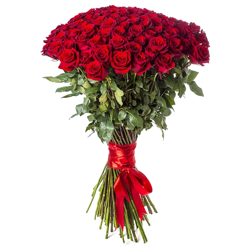 Букет из 101 метровой красной розы