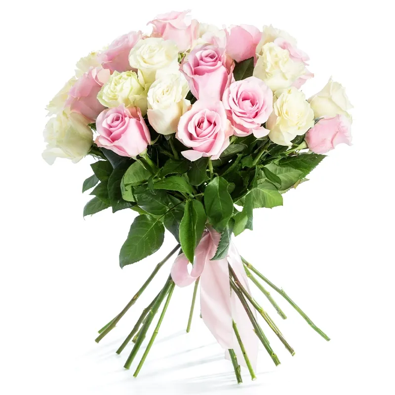 Букет из 21 белой и розовой розы (60 см)