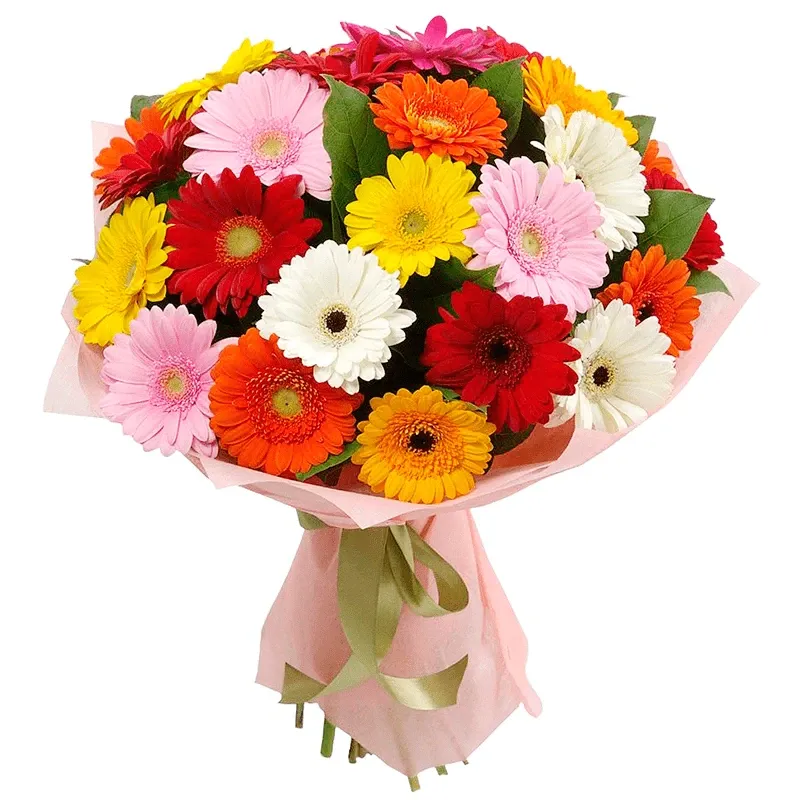 Букет из гербер «Тайна чувств»