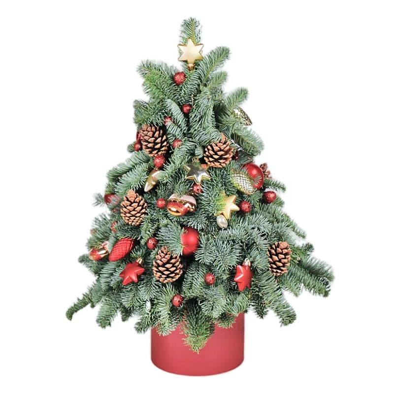 Композиция 