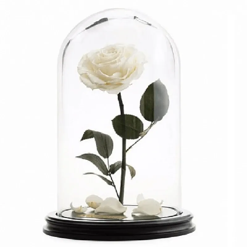 Роза в колбе белая