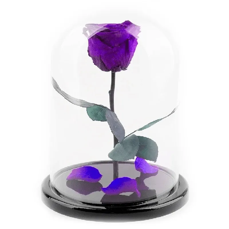 Роза в колбе сиреневая