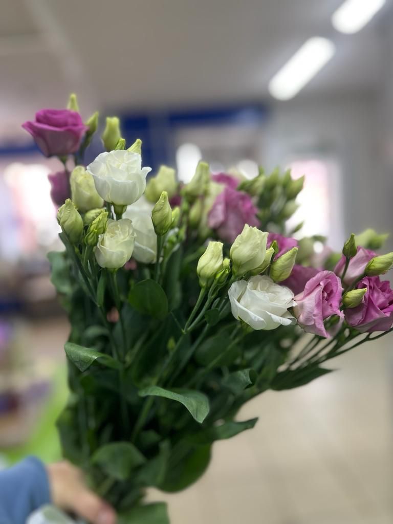 Отзыв от Наталья на сайте FlowLove